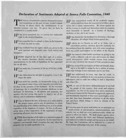 The sixteen sentiments laid out in the Declaration of Sentiments