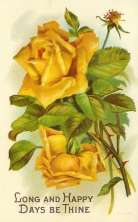 Yellow roses were used as a symbol of the women's suffrage movement.